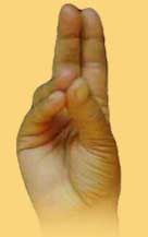 Pran Mudra