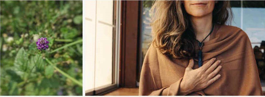 Aging and Health An Ayurvedic Perspective