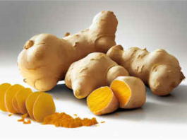 turmeric_An_Ayurvedic_Medicine